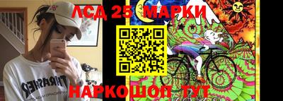 шишки Изобильный