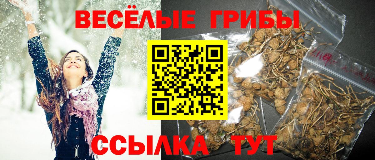 Галлюциногенные грибы ЛСД  Вход с VPN  Майский 