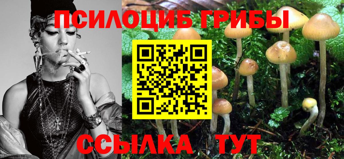 Галлюциногенные грибы Cubensis Майский